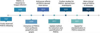 Therapeutic potential and pharmacological significance of extracellular vesicles derived from traditional medicinal plants